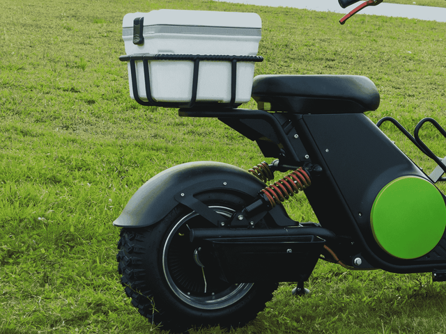 Maestro Golf EM6G